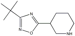 3-tert-butyl-5-(piperidin-3-yl)-1,2,4-oxadiazole Struktur