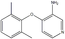 4-(2,6-dimethylphenoxy)pyridin-3-amine Struktur