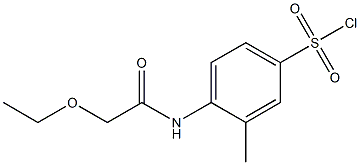 4-(2-ethoxyacetamido)-3-methylbenzene-1-sulfonyl chloride Struktur