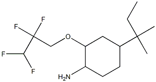 4-(2-methylbutan-2-yl)-2-(2,2,3,3-tetrafluoropropoxy)cyclohexan-1-amine Struktur