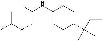 4-(2-methylbutan-2-yl)-N-(5-methylhexan-2-yl)cyclohexan-1-amine Struktur