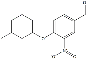 4-[(3-methylcyclohexyl)oxy]-3-nitrobenzaldehyde Struktur