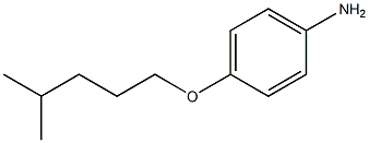 4-[(4-methylpentyl)oxy]aniline Struktur