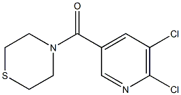 4-[(5,6-dichloropyridin-3-yl)carbonyl]thiomorpholine Struktur