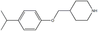 4-[4-(propan-2-yl)phenoxymethyl]piperidine Struktur