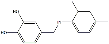 4-{[(2,4-dimethylphenyl)amino]methyl}benzene-1,2-diol Struktur