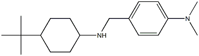 4-{[(4-tert-butylcyclohexyl)amino]methyl}-N,N-dimethylaniline Struktur