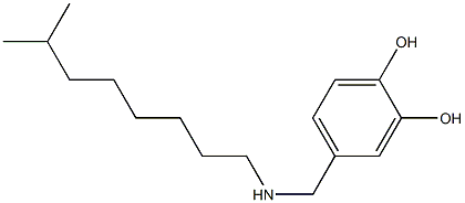 4-{[(7-methyloctyl)amino]methyl}benzene-1,2-diol Struktur