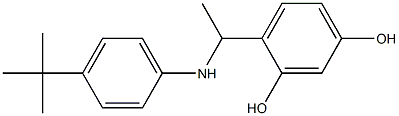 4-{1-[(4-tert-butylphenyl)amino]ethyl}benzene-1,3-diol Struktur