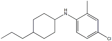 4-chloro-2-methyl-N-(4-propylcyclohexyl)aniline Struktur