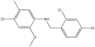 4-chloro-N-[(2,4-dichlorophenyl)methyl]-2-methoxy-5-methylaniline Struktur