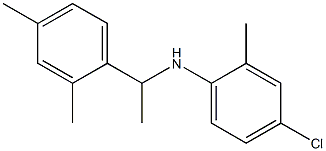 4-chloro-N-[1-(2,4-dimethylphenyl)ethyl]-2-methylaniline Struktur