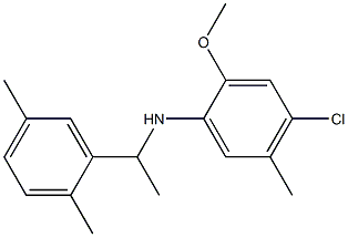 4-chloro-N-[1-(2,5-dimethylphenyl)ethyl]-2-methoxy-5-methylaniline Struktur