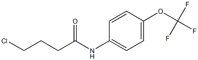 4-chloro-N-[4-(trifluoromethoxy)phenyl]butanamide Struktur