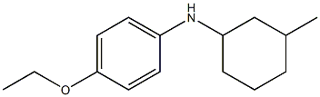 4-ethoxy-N-(3-methylcyclohexyl)aniline Struktur