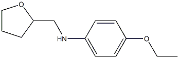 4-ethoxy-N-(oxolan-2-ylmethyl)aniline Struktur