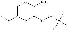 4-ethyl-2-(2,2,2-trifluoroethoxy)cyclohexanamine Struktur