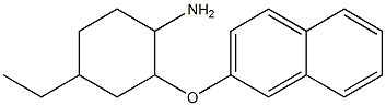 4-ethyl-2-(naphthalen-2-yloxy)cyclohexan-1-amine Struktur