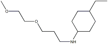 4-ethyl-N-[3-(2-methoxyethoxy)propyl]cyclohexan-1-amine Struktur