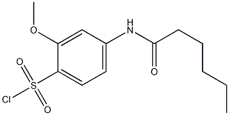 4-hexanamido-2-methoxybenzene-1-sulfonyl chloride Struktur