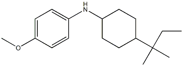 4-methoxy-N-[4-(2-methylbutan-2-yl)cyclohexyl]aniline Struktur