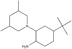 4-tert-butyl-2-(3,5-dimethylpiperidin-1-yl)cyclohexan-1-amine Struktur