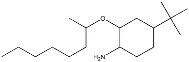 4-tert-butyl-2-(octan-2-yloxy)cyclohexan-1-amine Struktur