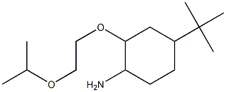 4-tert-butyl-2-[2-(propan-2-yloxy)ethoxy]cyclohexan-1-amine Struktur