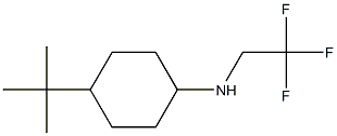 4-tert-butyl-N-(2,2,2-trifluoroethyl)cyclohexan-1-amine Struktur