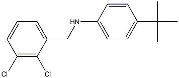 4-tert-butyl-N-[(2,3-dichlorophenyl)methyl]aniline Struktur