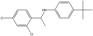 4-tert-butyl-N-[1-(2,4-dichlorophenyl)ethyl]aniline Struktur