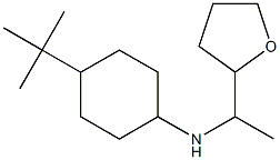 4-tert-butyl-N-[1-(oxolan-2-yl)ethyl]cyclohexan-1-amine Struktur