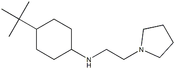 4-tert-butyl-N-[2-(pyrrolidin-1-yl)ethyl]cyclohexan-1-amine Struktur