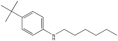 4-tert-butyl-N-hexylaniline Struktur