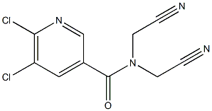 5,6-dichloro-N,N-bis(cyanomethyl)pyridine-3-carboxamide Struktur