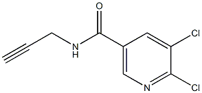 5,6-dichloro-N-prop-2-ynylnicotinamide Struktur