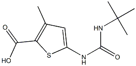 5-[(tert-butylcarbamoyl)amino]-3-methylthiophene-2-carboxylic acid Struktur