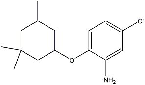 5-chloro-2-[(3,3,5-trimethylcyclohexyl)oxy]aniline Struktur