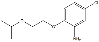 5-chloro-2-[2-(propan-2-yloxy)ethoxy]aniline Struktur