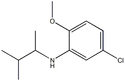 5-chloro-2-methoxy-N-(3-methylbutan-2-yl)aniline Struktur