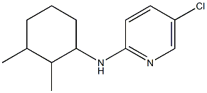 5-chloro-N-(2,3-dimethylcyclohexyl)pyridin-2-amine Struktur