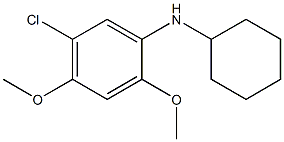 5-chloro-N-cyclohexyl-2,4-dimethoxyaniline Struktur