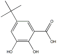 5-tert-butyl-2,3-dihydroxybenzoic acid Struktur