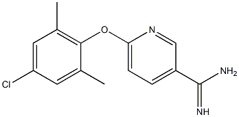 6-(4-chloro-2,6-dimethylphenoxy)pyridine-3-carboximidamide Struktur