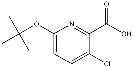 6-(tert-butoxy)-3-chloropyridine-2-carboxylic acid Struktur