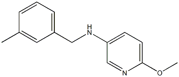 6-methoxy-N-[(3-methylphenyl)methyl]pyridin-3-amine Struktur