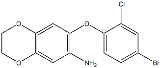 7-(4-bromo-2-chlorophenoxy)-2,3-dihydro-1,4-benzodioxin-6-amine Struktur