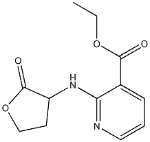 ethyl 2-[(2-oxooxolan-3-yl)amino]pyridine-3-carboxylate Struktur