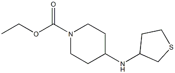 ethyl 4-(thiolan-3-ylamino)piperidine-1-carboxylate Struktur