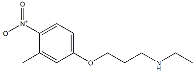 ethyl[3-(3-methyl-4-nitrophenoxy)propyl]amine Struktur